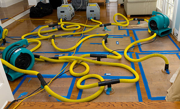 Professional Burst Pipe Water Damage technician working in Highlands, CA